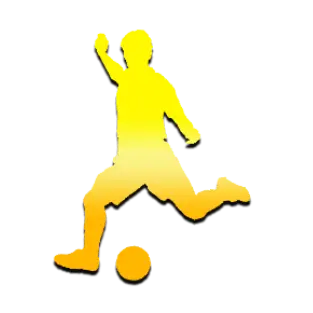 sportsc88a1ac476adb57f.webp